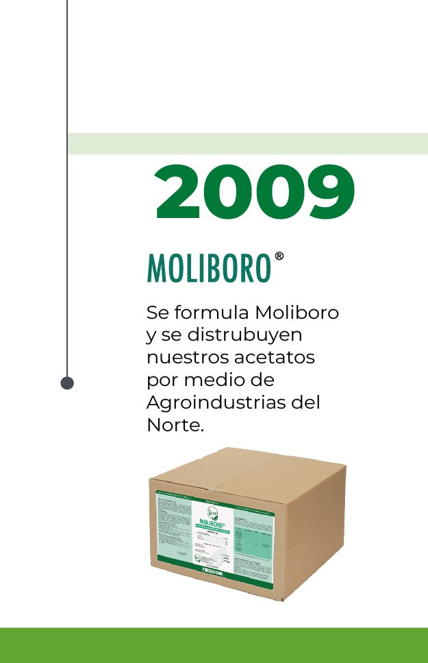 linea-del-tiempo-quiver-10