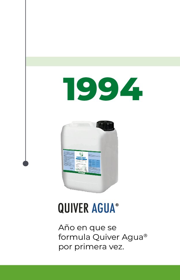 linea-del-tiempo-quiver-2
