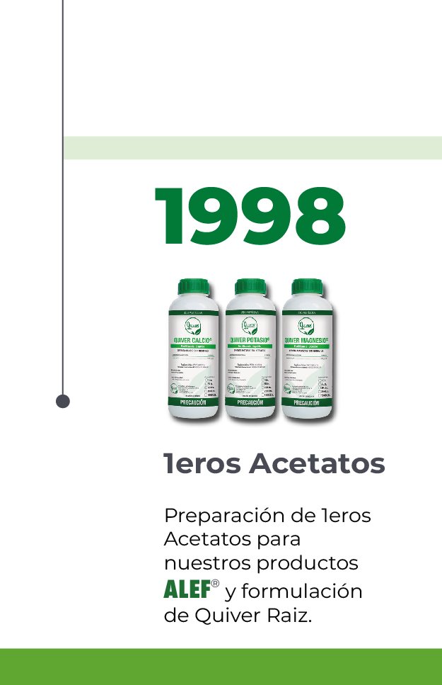 linea-del-tiempo-quiver-6