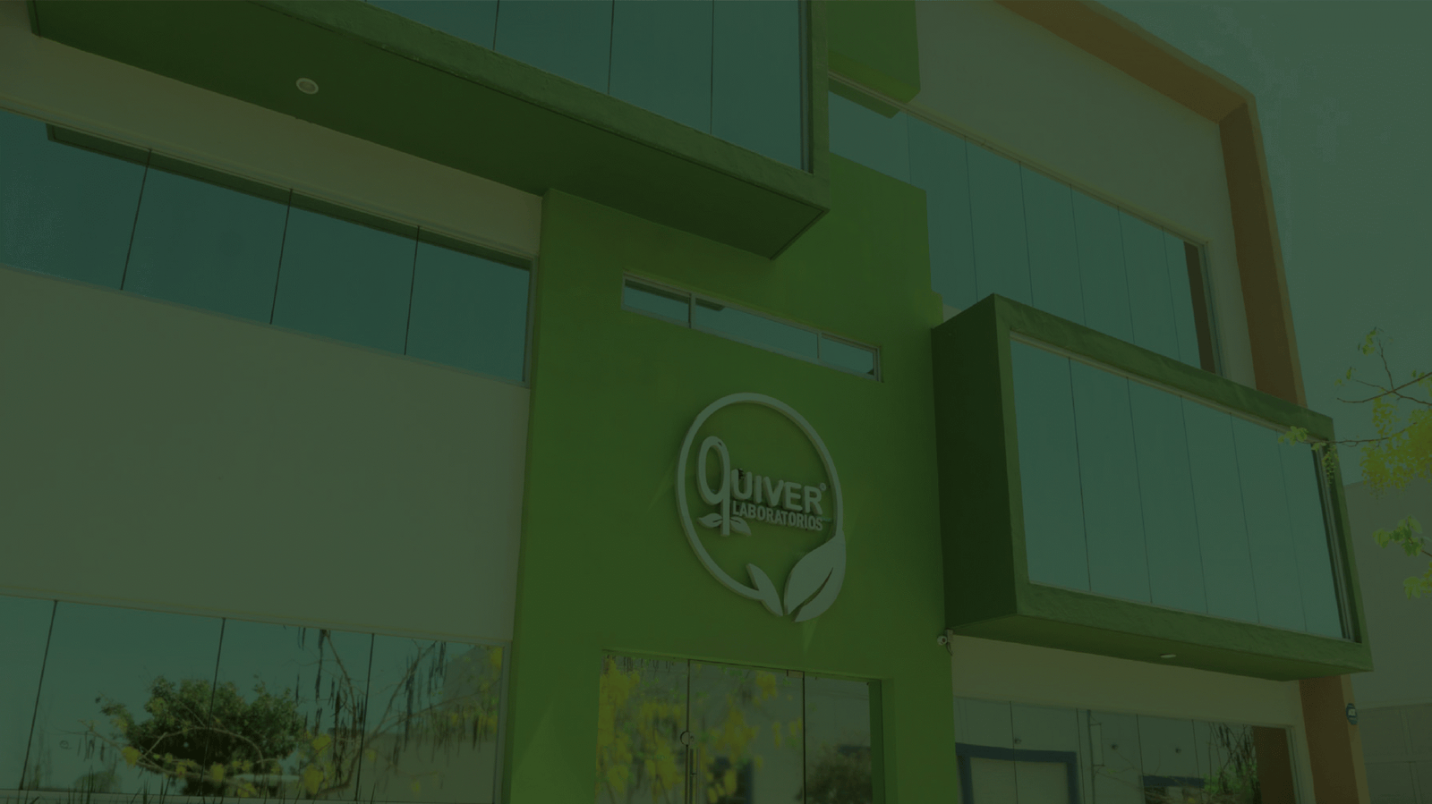 elemento pagina-13 2