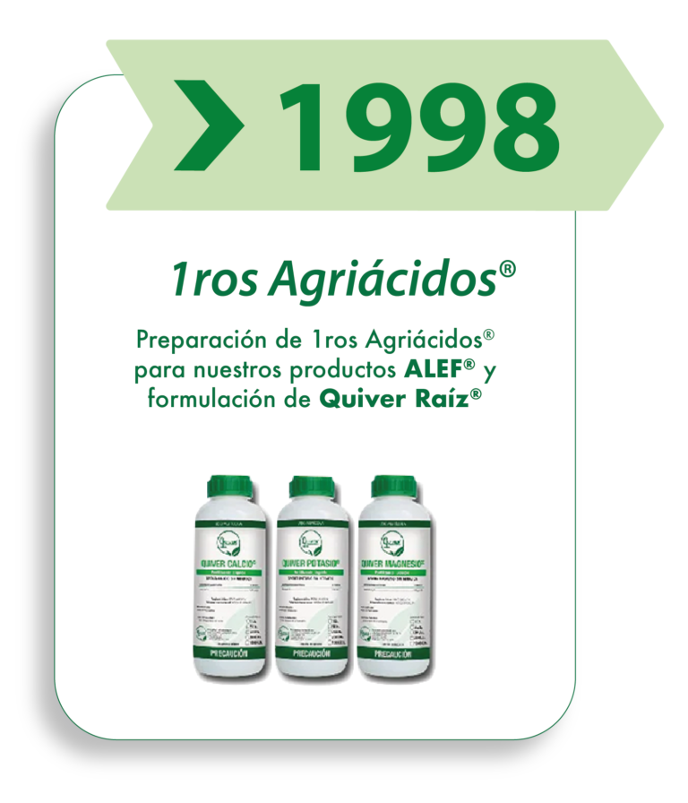 LINEA DEL TIEMPO-10 (1)