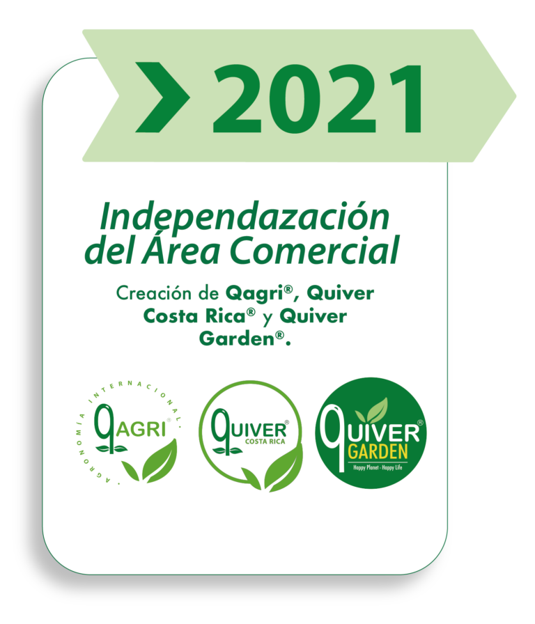 LINEA DEL TIEMPO-19 (1)