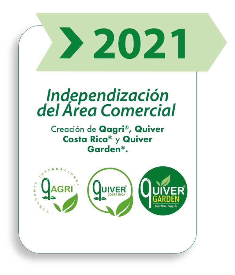 linea tiempo-2021