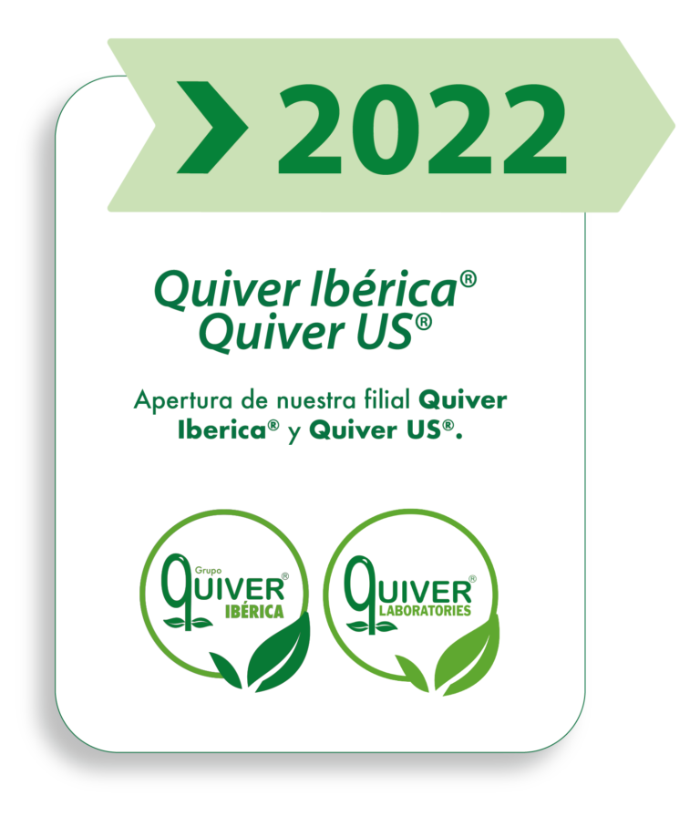 linea tiempo-2022